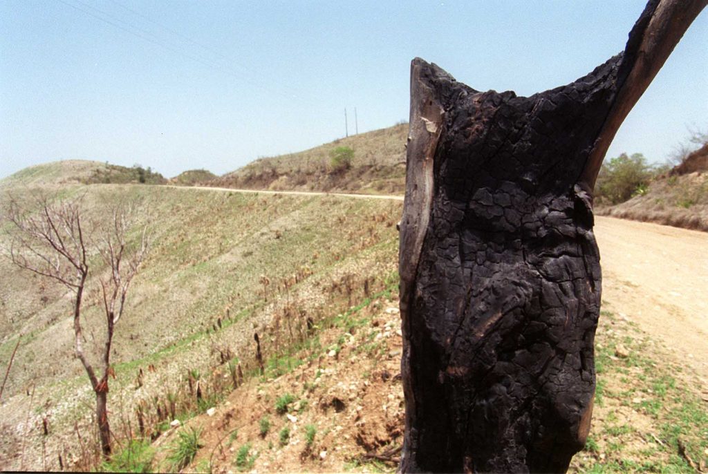 DEFORESTACION EN LA FRONTERA.......ABR.'00...FOTO/MIGUEL GOMEZ