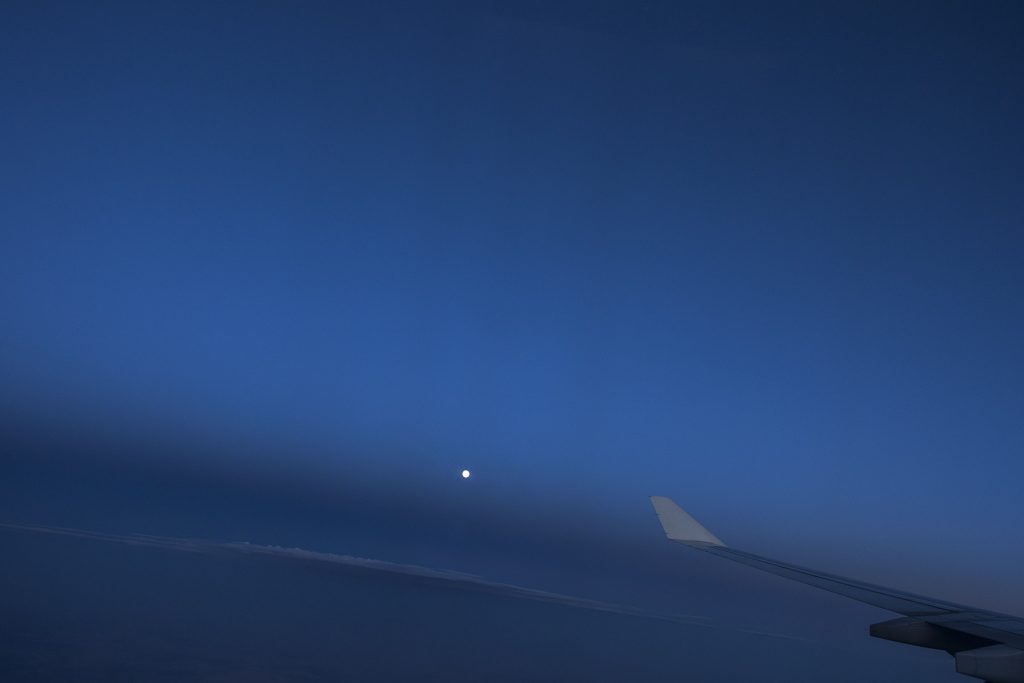 moon-sky-wing