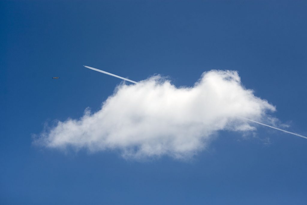 plane-cloud-seagull-chemtrail.