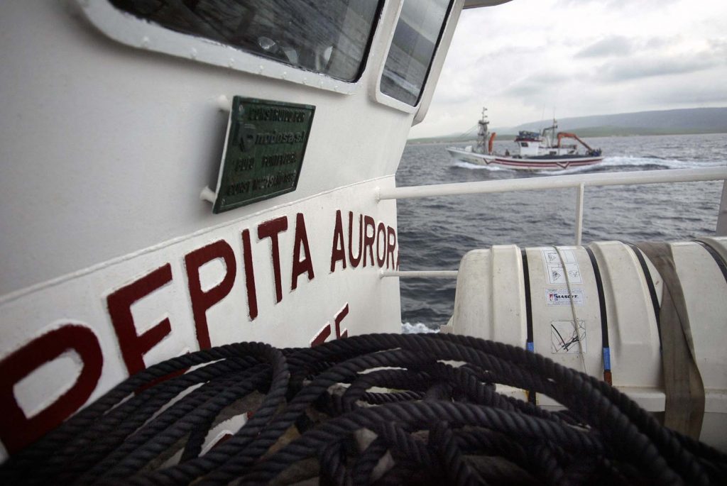nuevo-pepita-aurora-barco