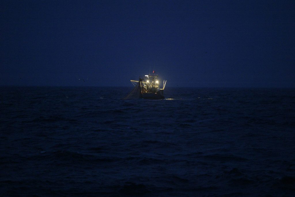 nuevo-pepita-aurora-boat