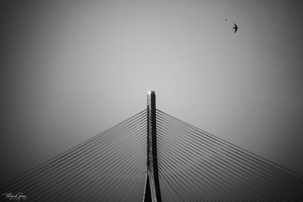 puente-bridge