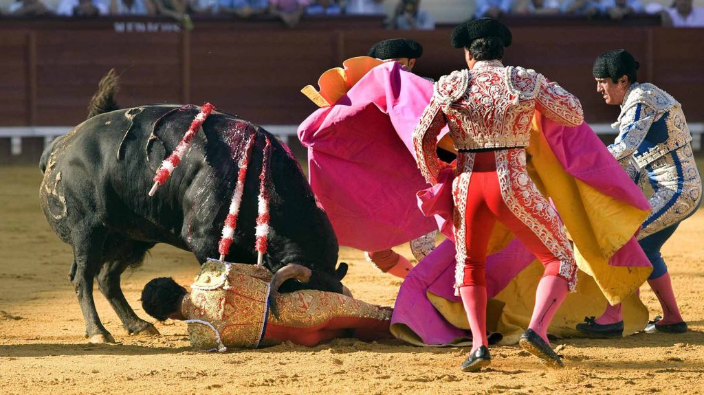 jose-tomas-bullfighter-
