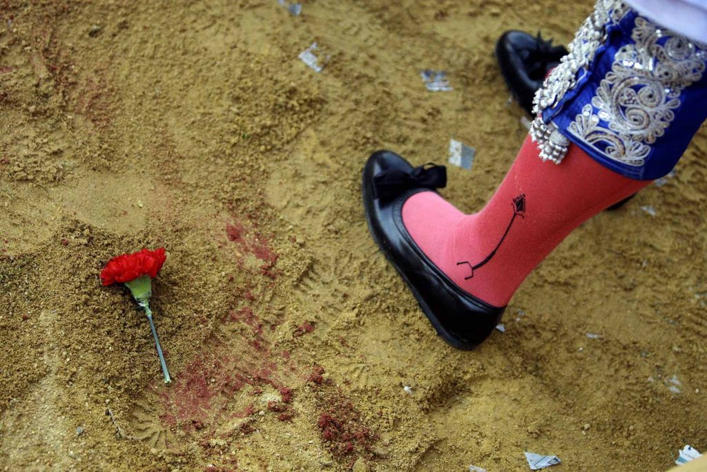 carnation-bullfighter-