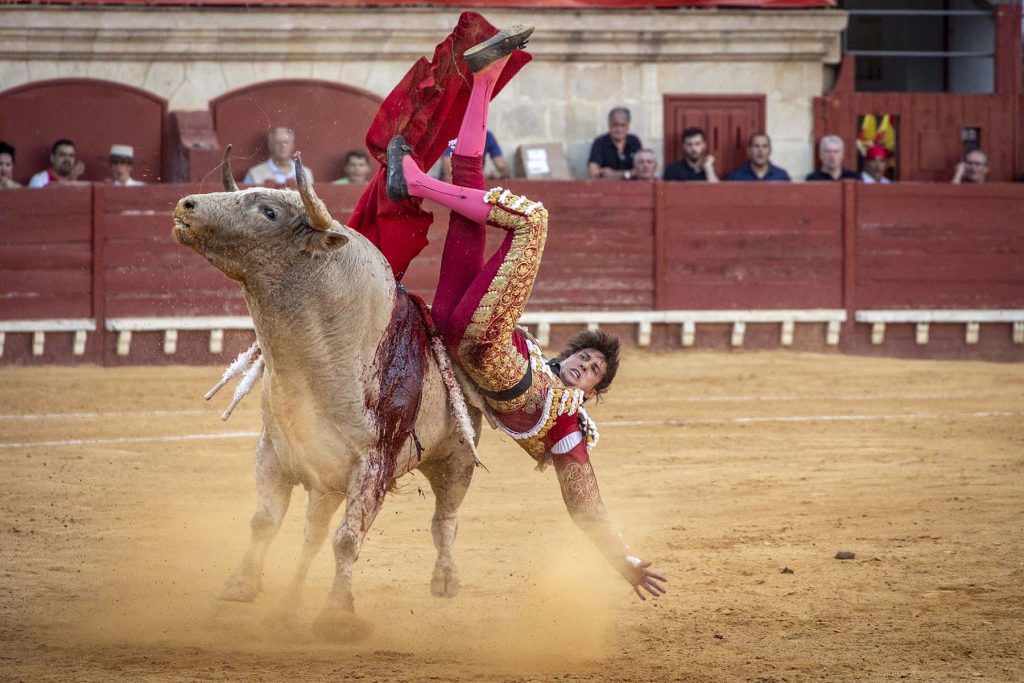 Toros en El Puerto de Santa Maria, España, 5/8/23. Foto Diario de Cádiz/Miguel Gomez