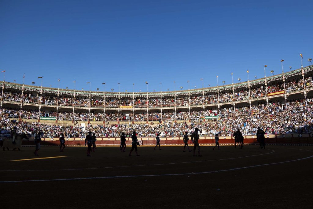 Toros en El Puerto de Santa Maria, España, 5/8/23. Foto Diario de Cádiz/Miguel Gomez