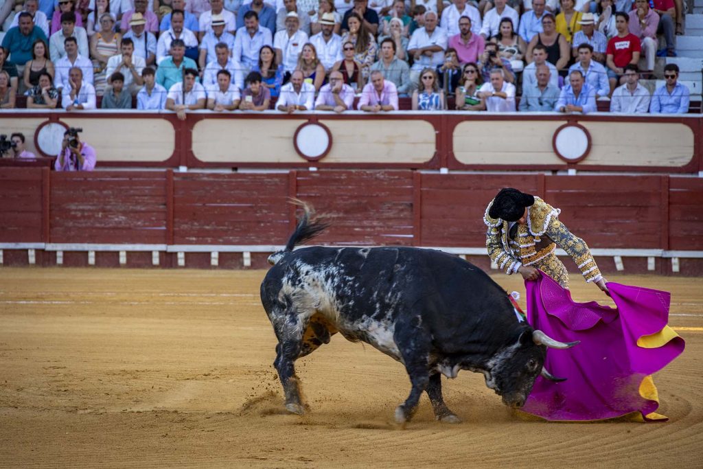 Toros en El Puerto de Santa Maria, España, 5/8/23. Foto Diario de Cádiz/Miguel Gomez
