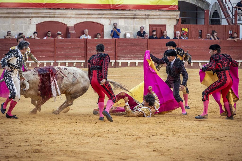 Toros en El Puerto de Santa Maria, España, 5/8/23. Foto Diario de Cádiz/Miguel Gomez