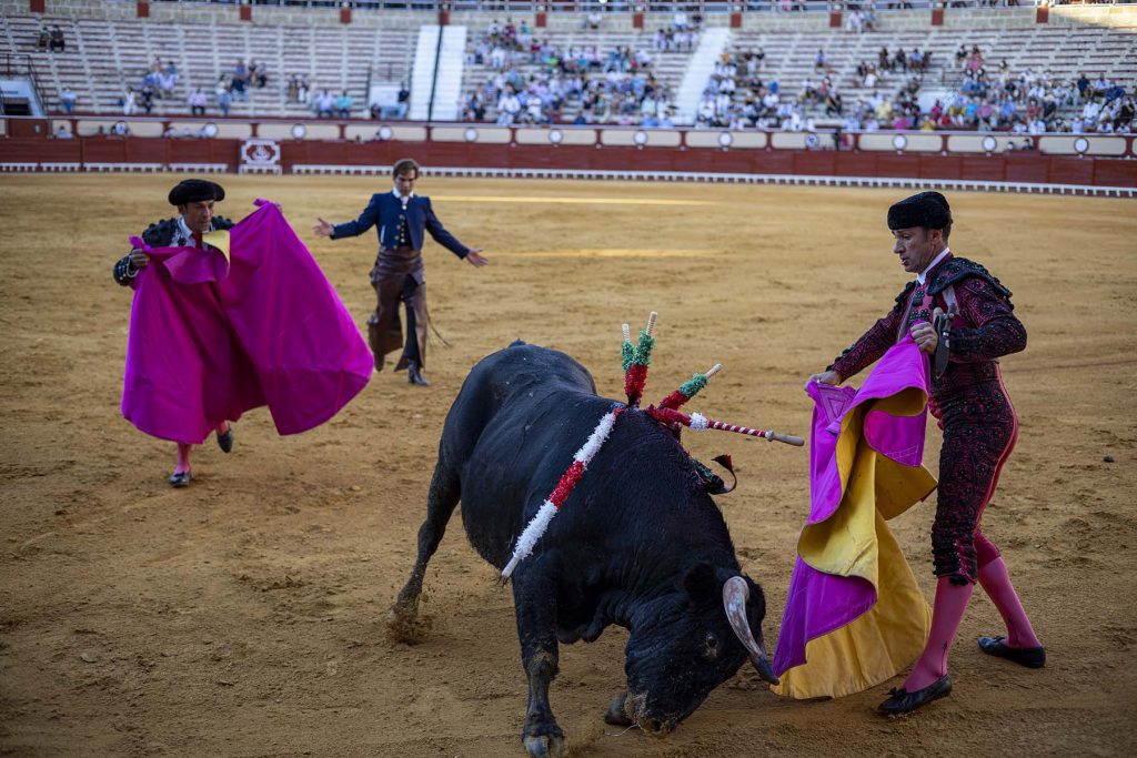 Toros en El Puerto en El Puerto De Santa María, España, 20210805 Foto: Miguel Gomez