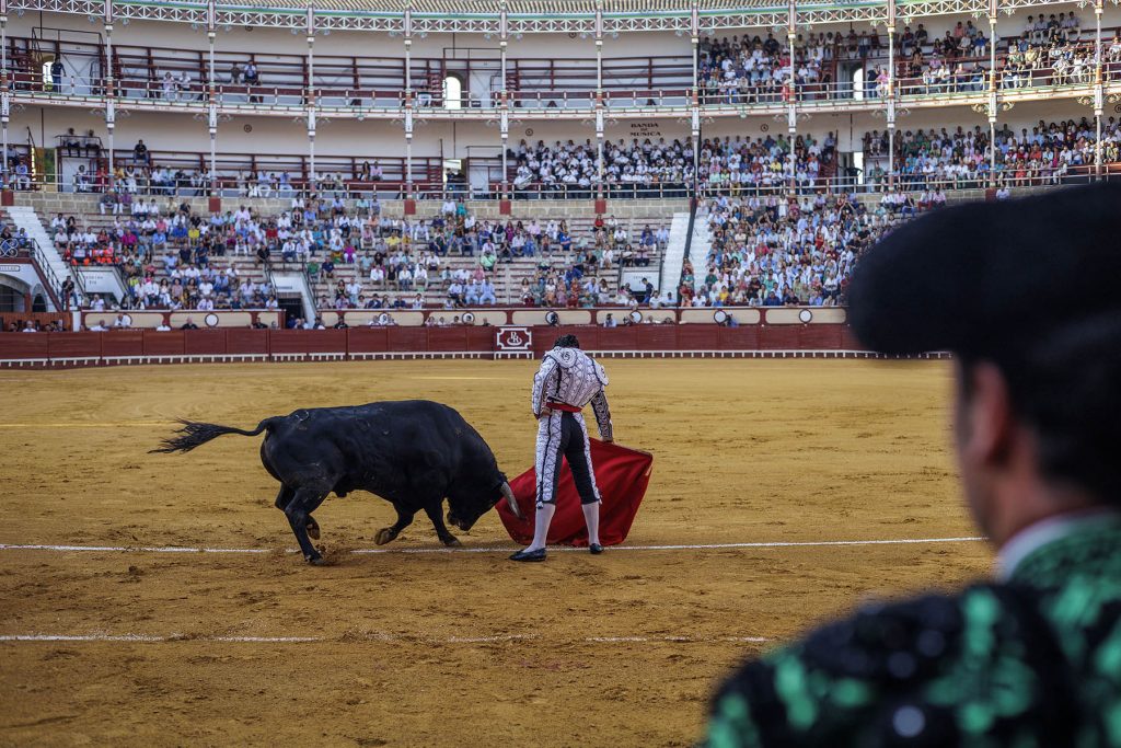 Morante De La Puebla - Temporada de Toros en El Puerto de Santa Maria en  Cadiz, España, 20220518 Foto Diario de Cádiz/Miguel Gomez