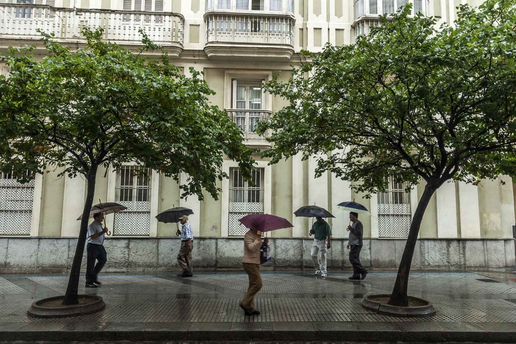 umbrellas-raining