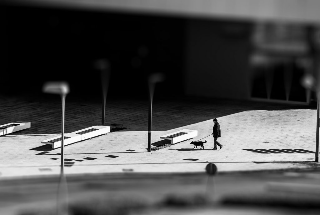 covid19  ©miguelgomez