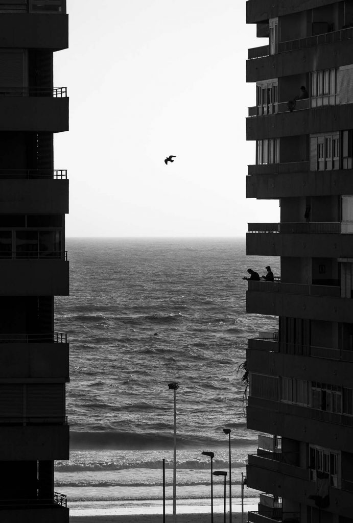 Para ellos un momento de alivio para mi un momento mágico. Cádiz, España. 15 de abril de 2020.
