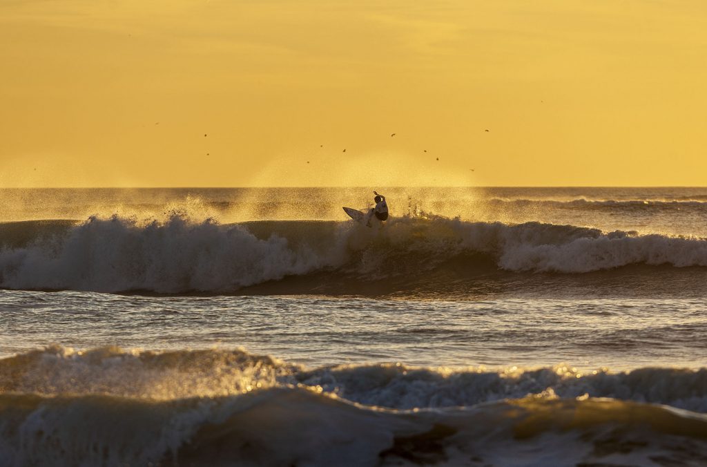 Surfing at the sunset