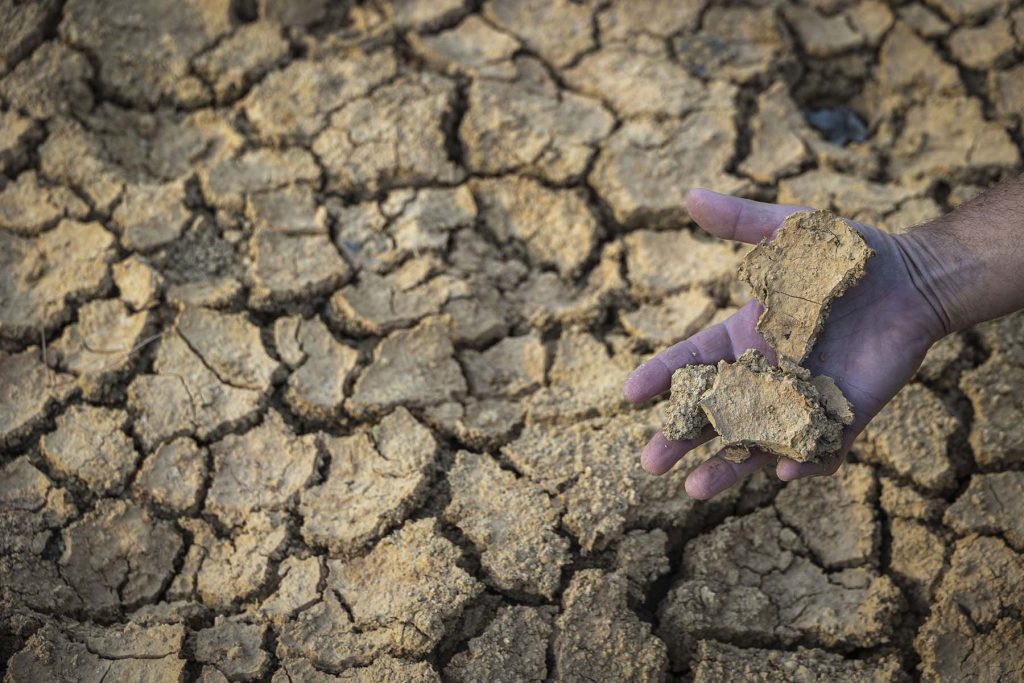 Donana, drought and heat. Luis Bejarano, president of The Happy Donkey Association shows the condition of the soil at the bottom of the Lynx’s Lagoon in the Donana’s National Park near to Hinojos, Huelva, southern Spain, Friday, May. 5, 2023. NRC Photo//Miguel Gomez