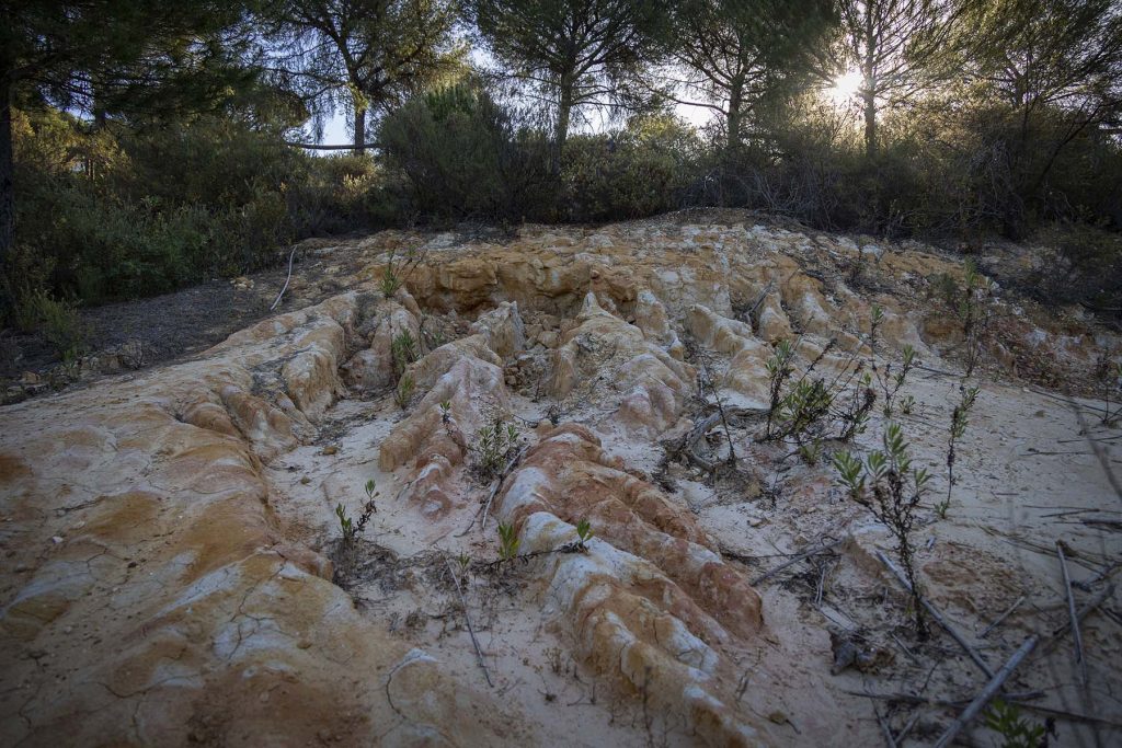 Donana, drought and heat. Grooves left by water in the Lynx’s Lagoon in the Donana’s National Park near to Hinojos, Huelva, southern Spain, Friday, May. 5, 2023. NRC Photo//Miguel Gomez