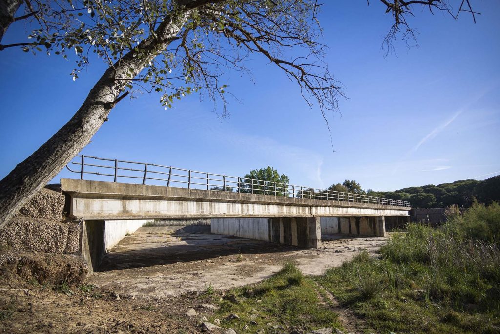 Donana, drought and heat. View of a totally dry stream in the Donana’s National Park near to Hinojos, Huelva, southern Spain on Friday, May 5 in 2023. NRC Photo//Miguel Gomez