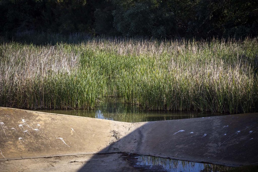 Donana, drought and heat. A pond with water levels at a minimum in the Donana’s National Park near to Hinojos, Huelva, southern Spain on Friday, May 5 in 2023. NRC Photo//Miguel Gomez