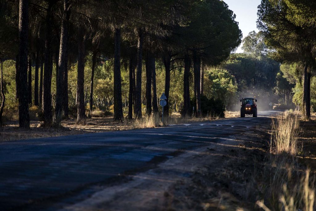 Doñana, drought and heat. Repair work on the roads that cross Doñana and lead to the village of El Rocio in Huelva, southern Spain on Friday, May 5 in 2023. The official population of El Rocío is 1,600 but during the famous pilgrimage of the Virgin of El Rocío it can reach up to a million people, many of them camp for days in the National Park. NRC Photo//Miguel Gomez