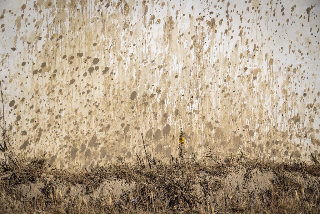 Donana, drought and heat. A fence of one of the greenhouses covered with remains of mud in the Donana’s National Park in Huelva, southern Spain on Friday, May 5 in 2023. NRC Photo//Miguel Gomez