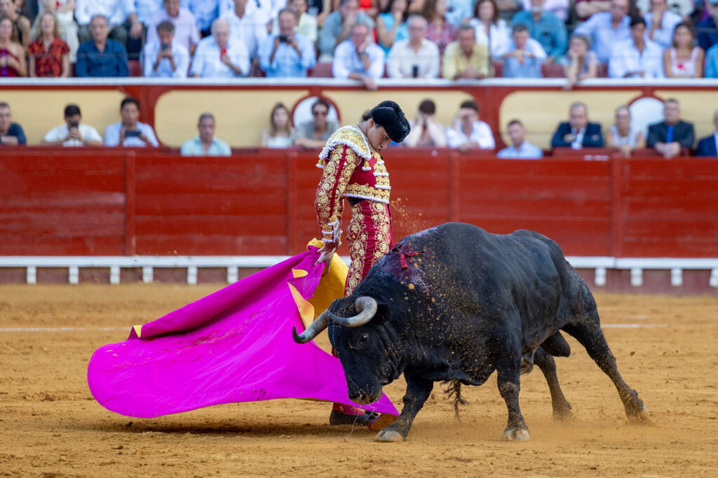 Toros en El Puerto De Santa Maria, España, 20260802. Foto/Miguel Gómez