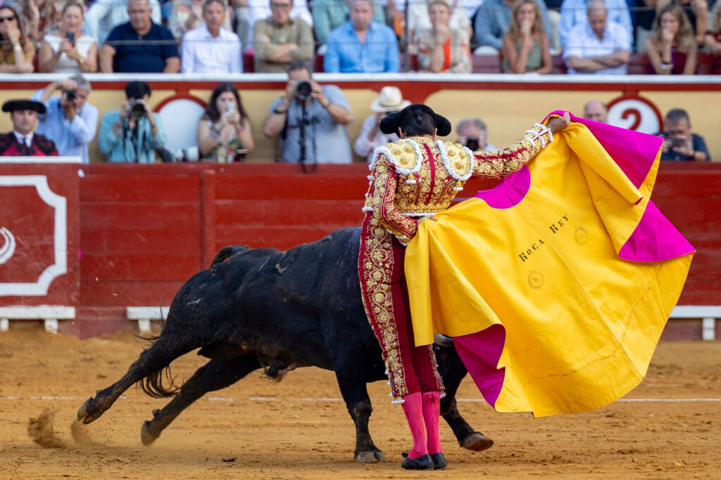 Toros en El Puerto De Santa Maria, España, 20260802. Foto/Miguel Gómez