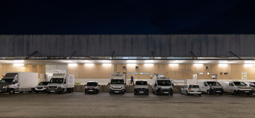 Reportaje en la lonja en Cadiz, España, 20260803. Foto/Miguel Gómez