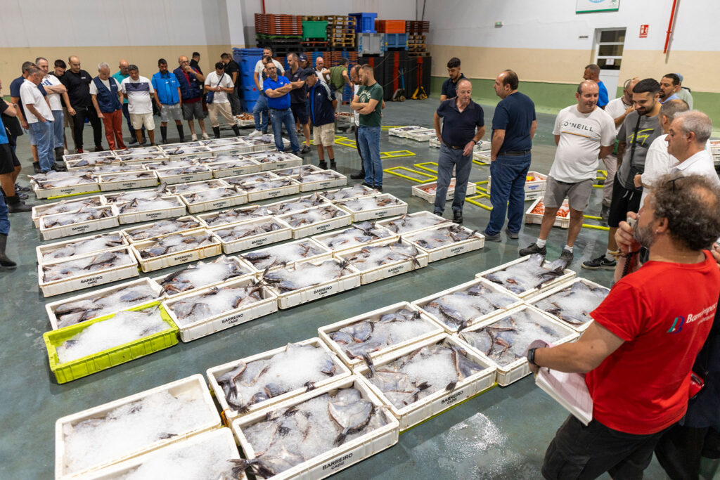 Reportaje en la lonja en Cadiz, España, 20260803. Foto/Miguel Gómez