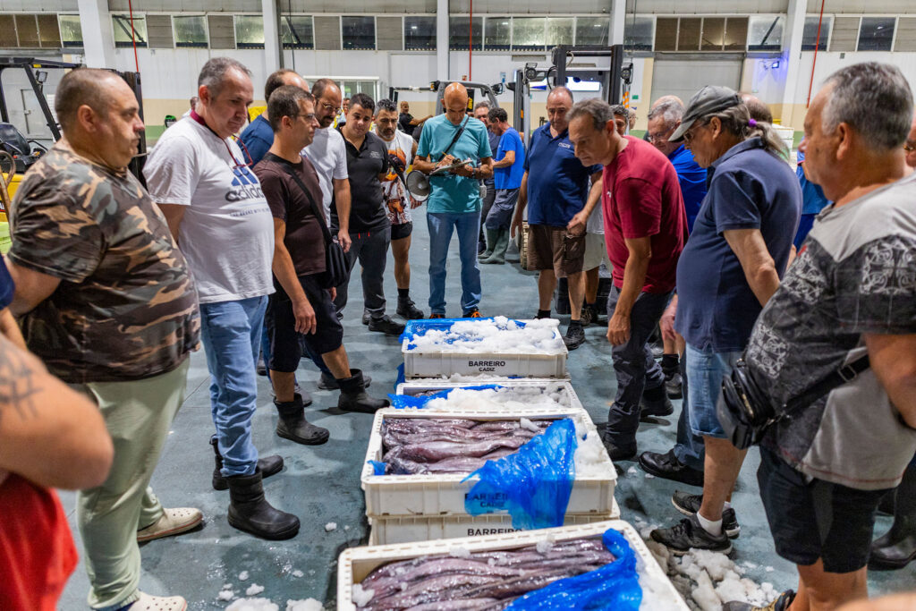 Reportaje en la lonja en Cadiz, España, 20260803. Foto/Miguel Gómez