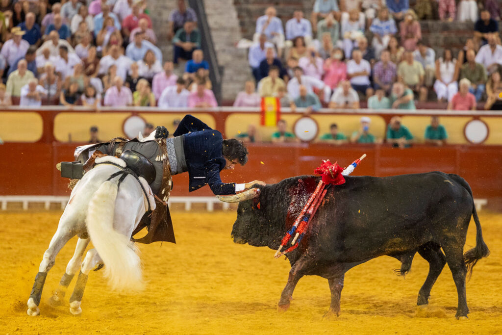 Rejones en El Puerto De Santa Maria, España, 20260807. Foto/Miguel Gómez