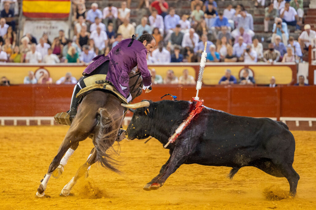 Rejones en El Puerto De Santa Maria, España, 20260807. Foto/Miguel Gómez