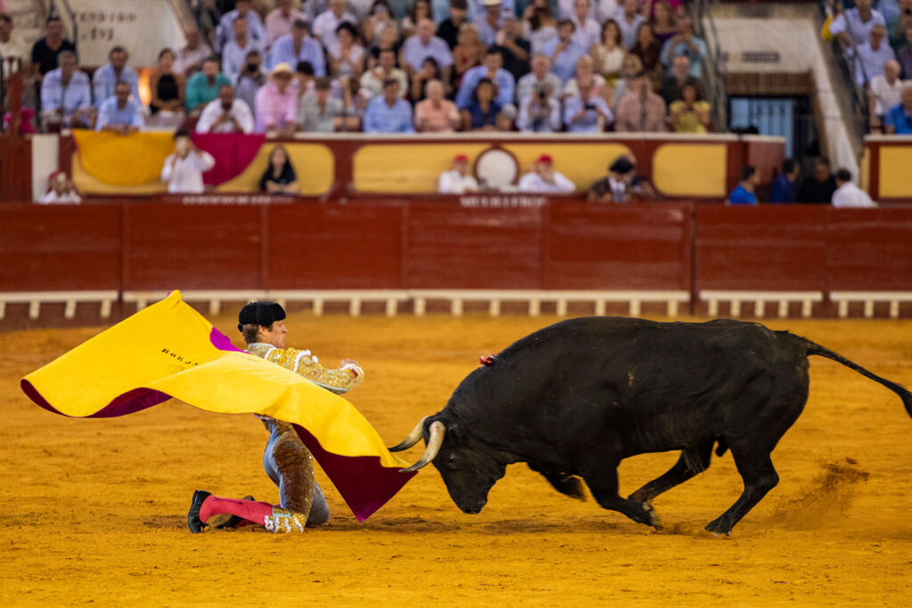 Toros en El Puerto De Santa Maria, España, 20260809. Foto/Miguel Gómez