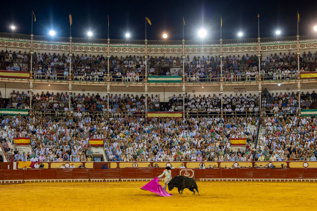 Toros en El Puerto De Santa Maria, España, 20260809. Foto/Miguel Gómez