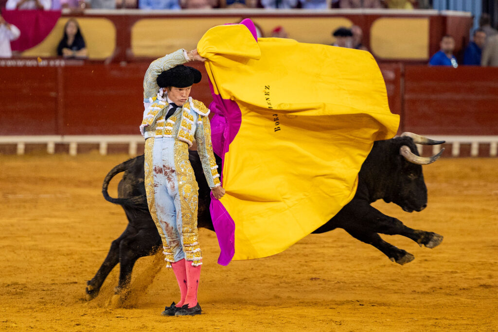 Toros en El Puerto De Santa Maria, España, 20260809. Foto/Miguel Gómez