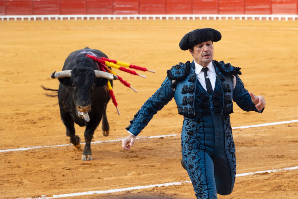 Toros en El Puerto De Santa Maria, España, 20260809. Foto/Miguel Gómez