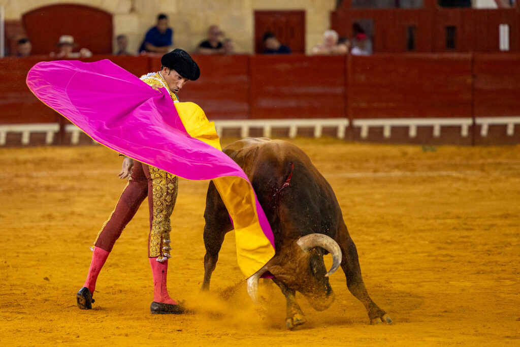 Toros en El Puerto De Santa Maria, España, 20260809. Foto/Miguel Gómez
